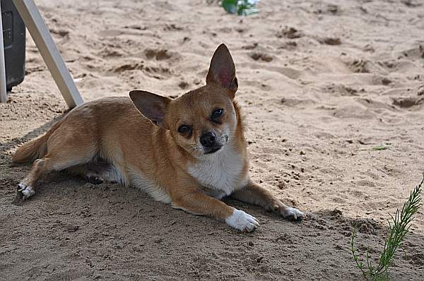 DSC_0324.JPG