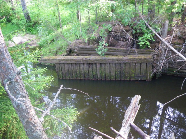 IMGP7224_resize.JPG