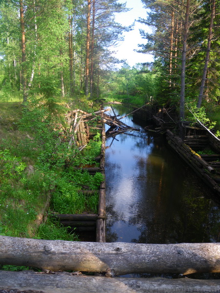 IMGP7209_resize.jpg