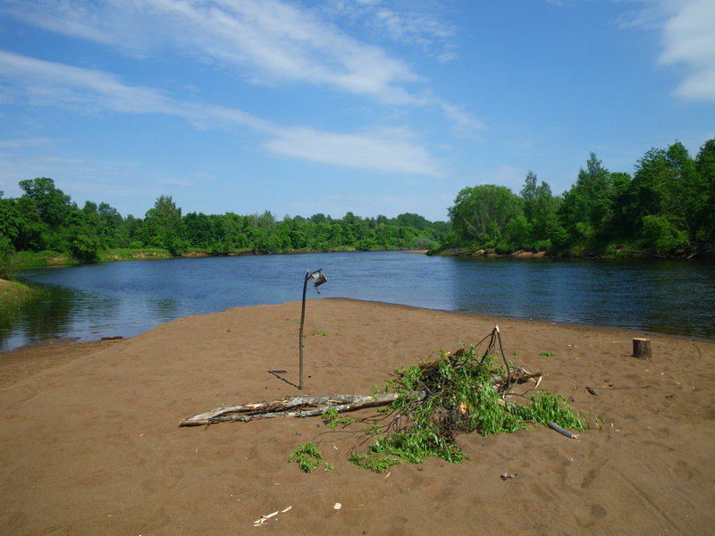 IMGP7164_resize.JPG