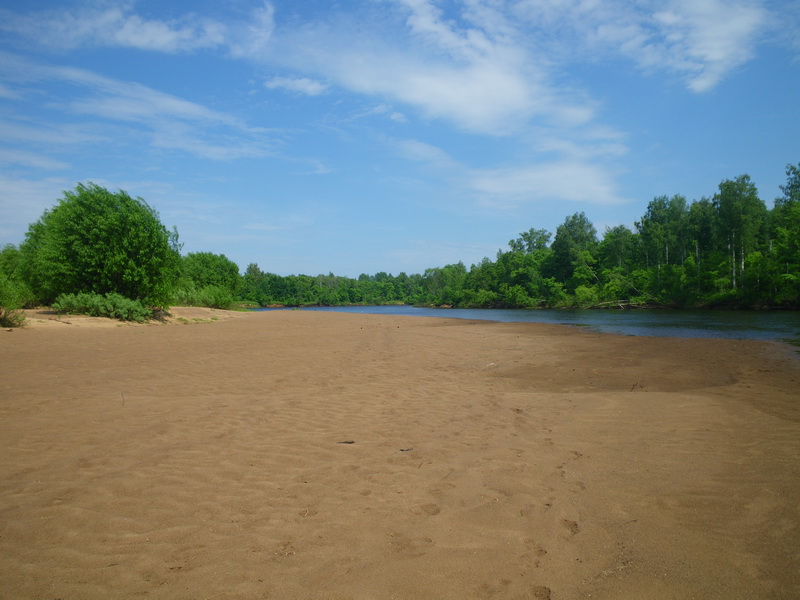 IMGP7153_resize.JPG