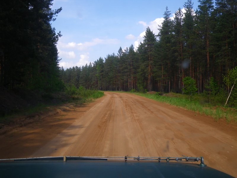 IMGP6994_resize.JPG