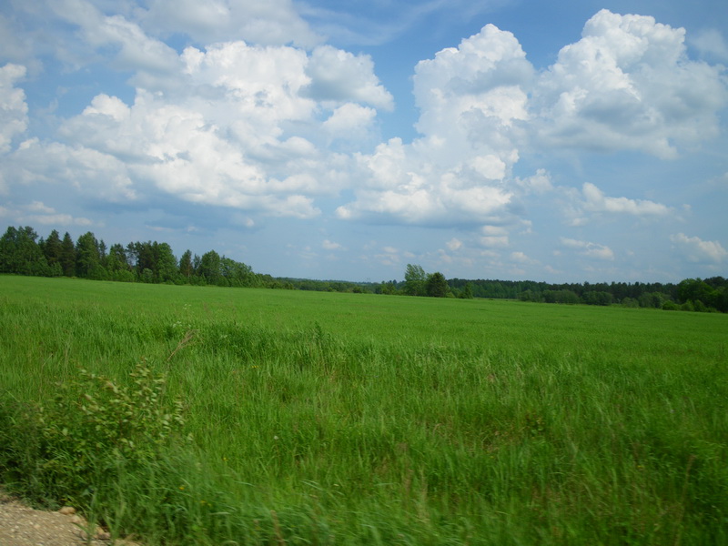 IMGP6981_resize.JPG