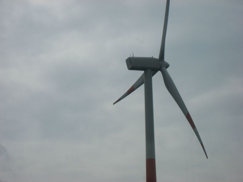  354.jpg