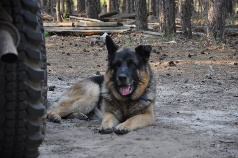 DSC_1670.JPG