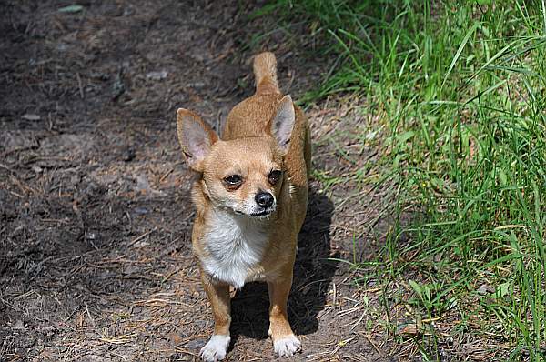 DSC_0286.JPG